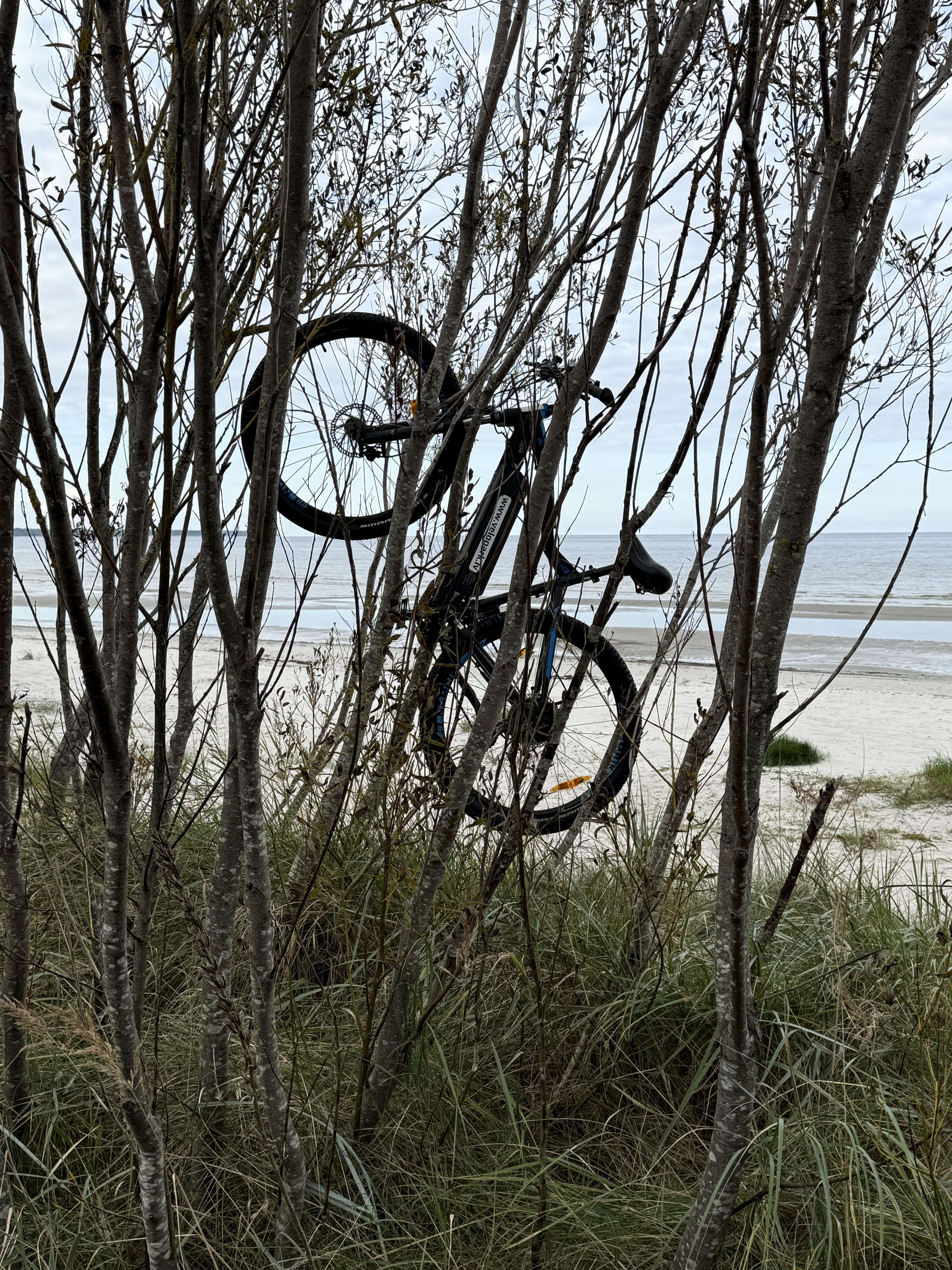 Mystic Bike & Kayak photo