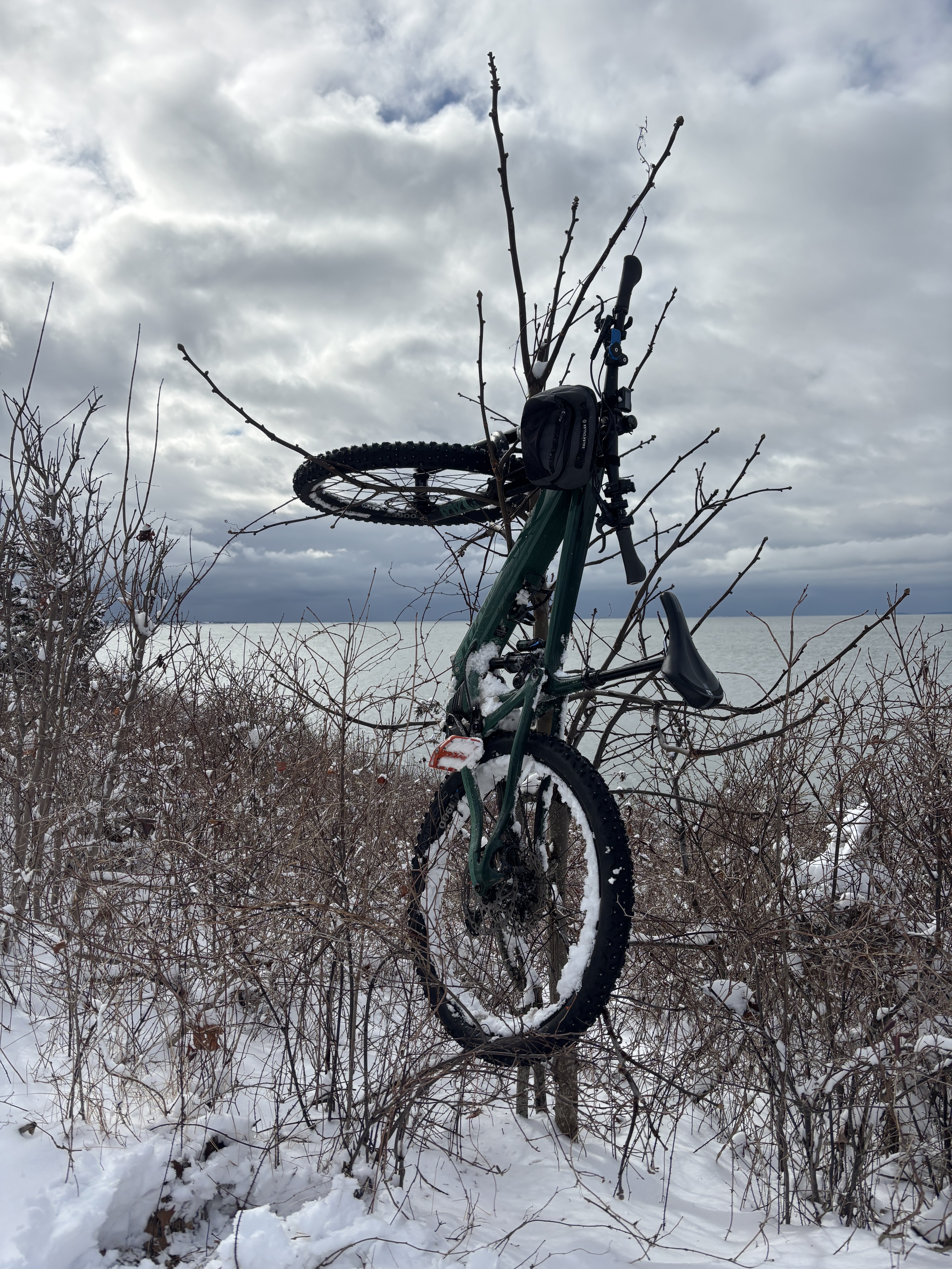 Mystic Bike & Kayak photo